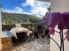Alojamiento La Casa del Pintor